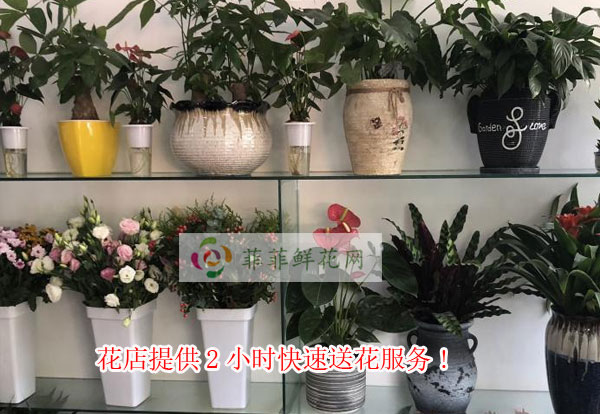 商丘梁园区花店提供商丘梁园区2小时快速送花服务